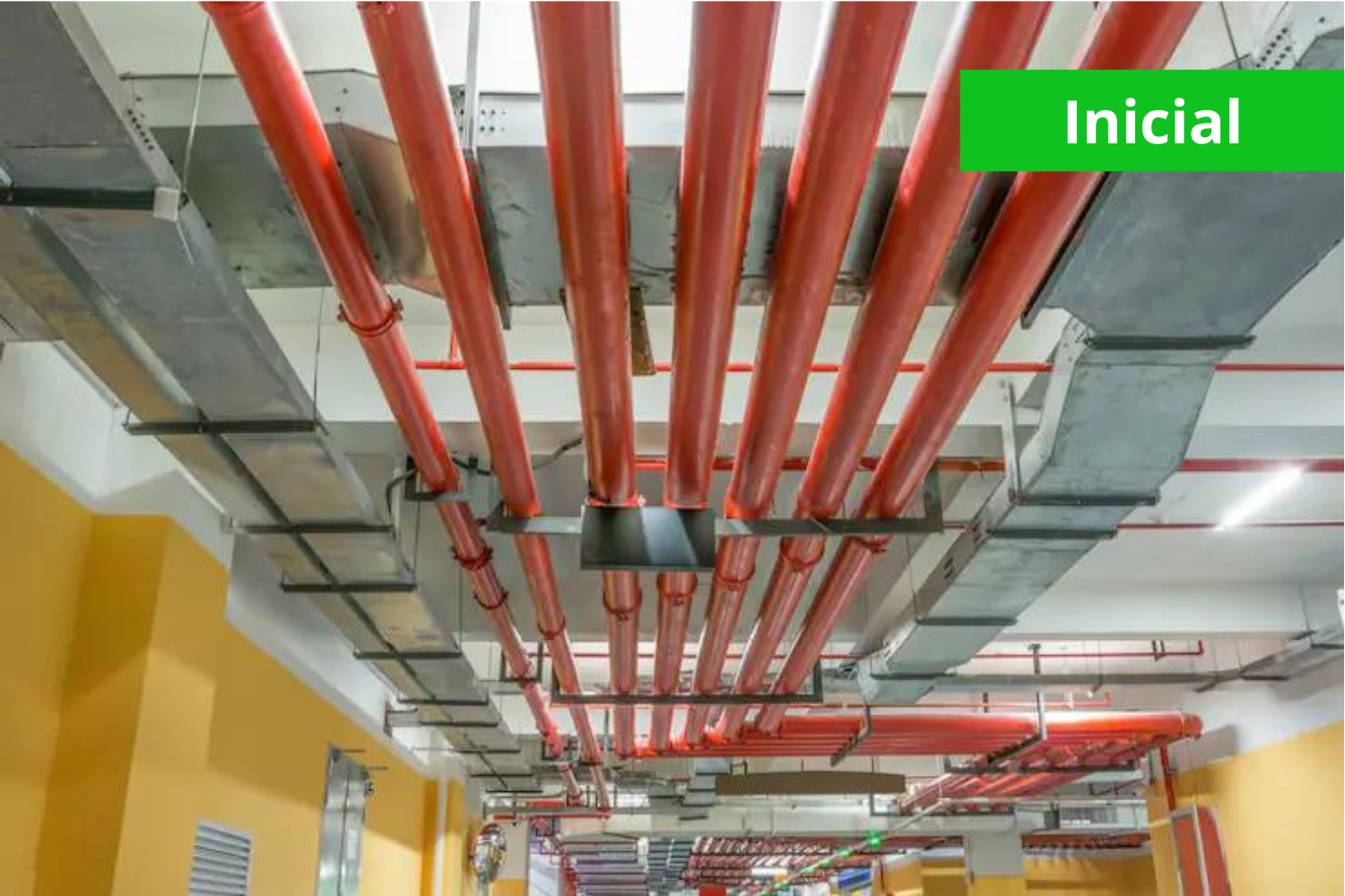 Extinção por Água (inicial)